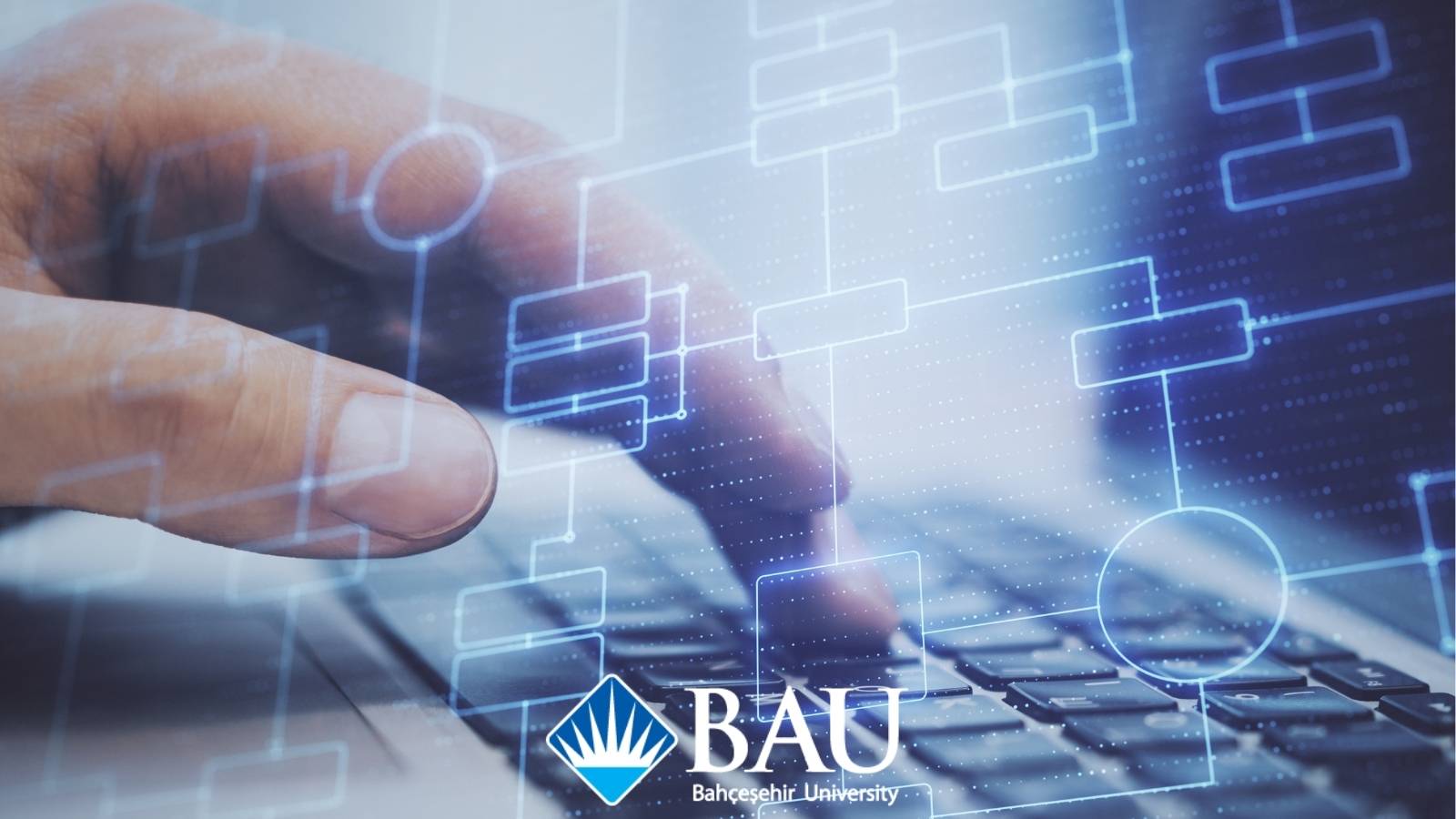 BAU SOFTWARE ENGINEERING visual data 5